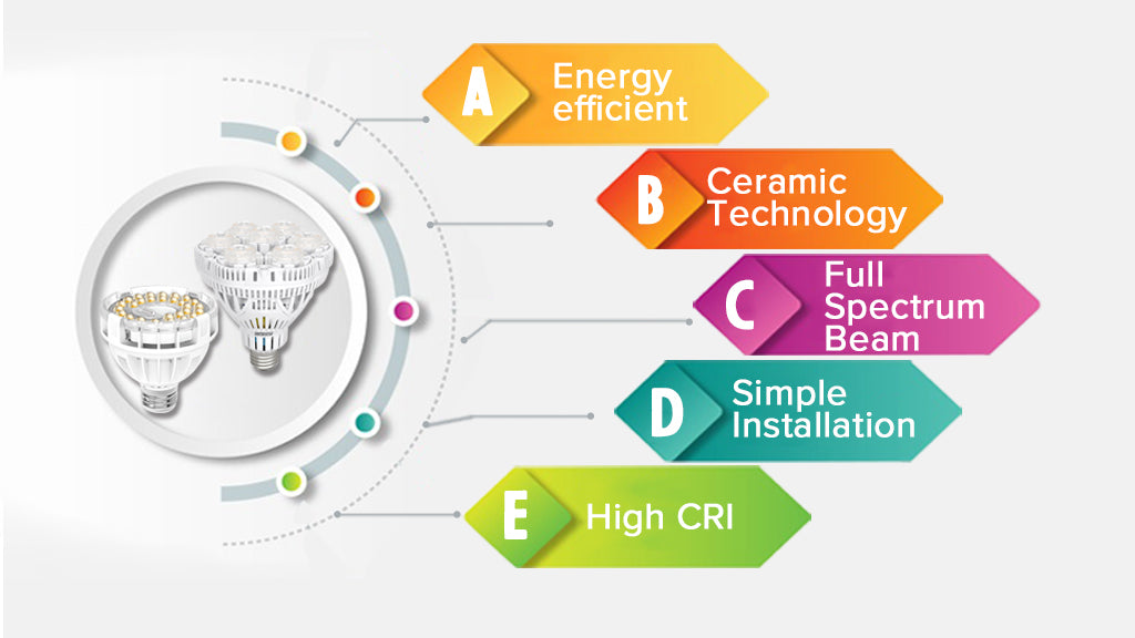 grow light bulb