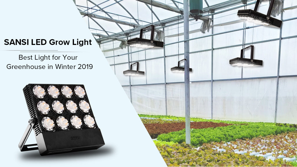 Best Light for Your Greenhouse