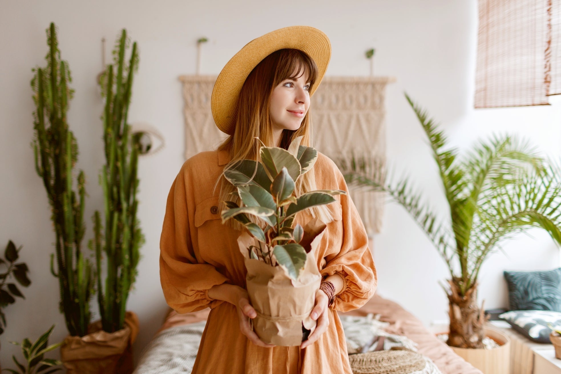Your Fall Houseplant Care Guide: Thrive with Less Light