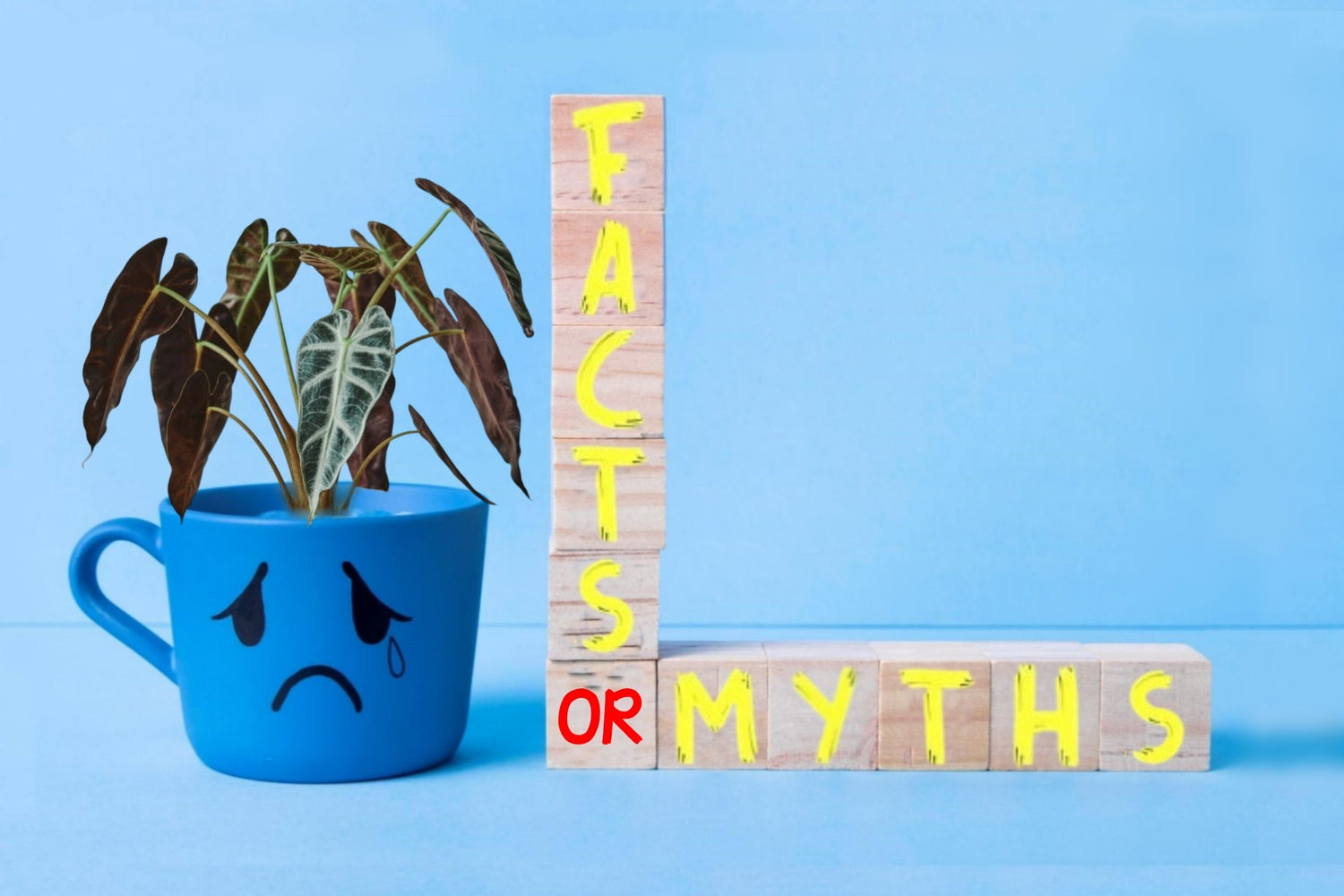 5 Deadly Plant Myths Debunked: Summer Survival Hacks Inside!