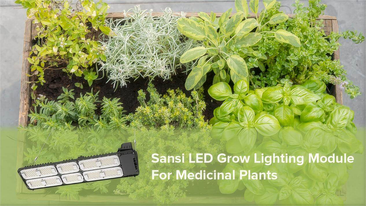 SANSI LED light for practical home lighting