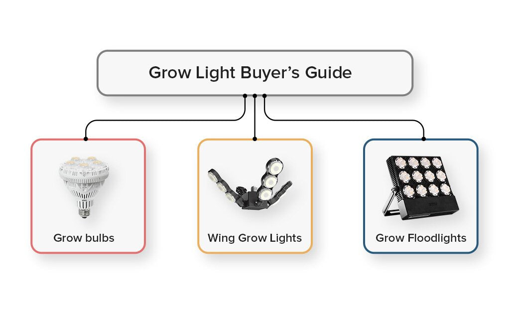 A Beginner’s Guide to SANSI Indoor Grow Lights