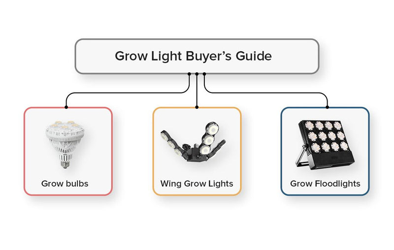 A Beginner’s Guide to SANSI Indoor Grow Lights