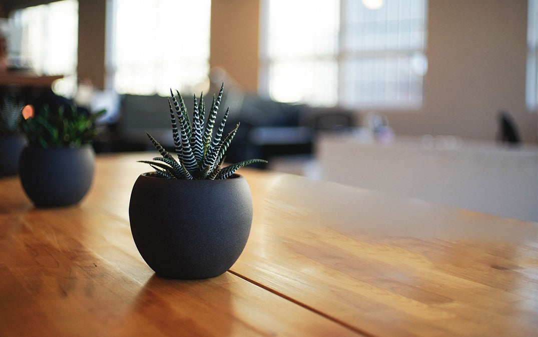 UVA grow light