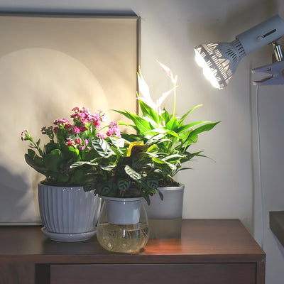 BR30 36W LED Grow Light Bulb