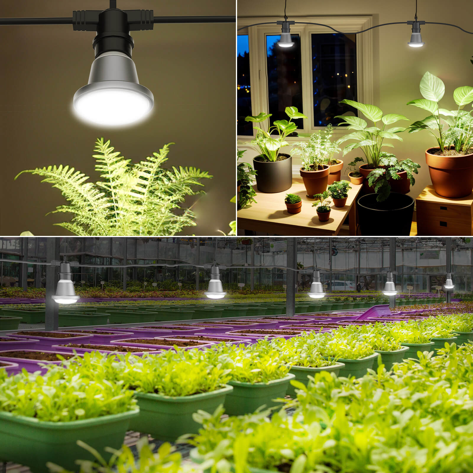 Hanging Grow Light String can be used in wide applications.
