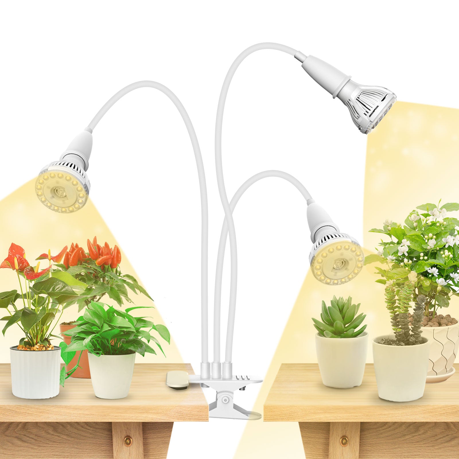 30W Adjustable 3-Head Clip-on LED Grow Light (US/CA ONLY)