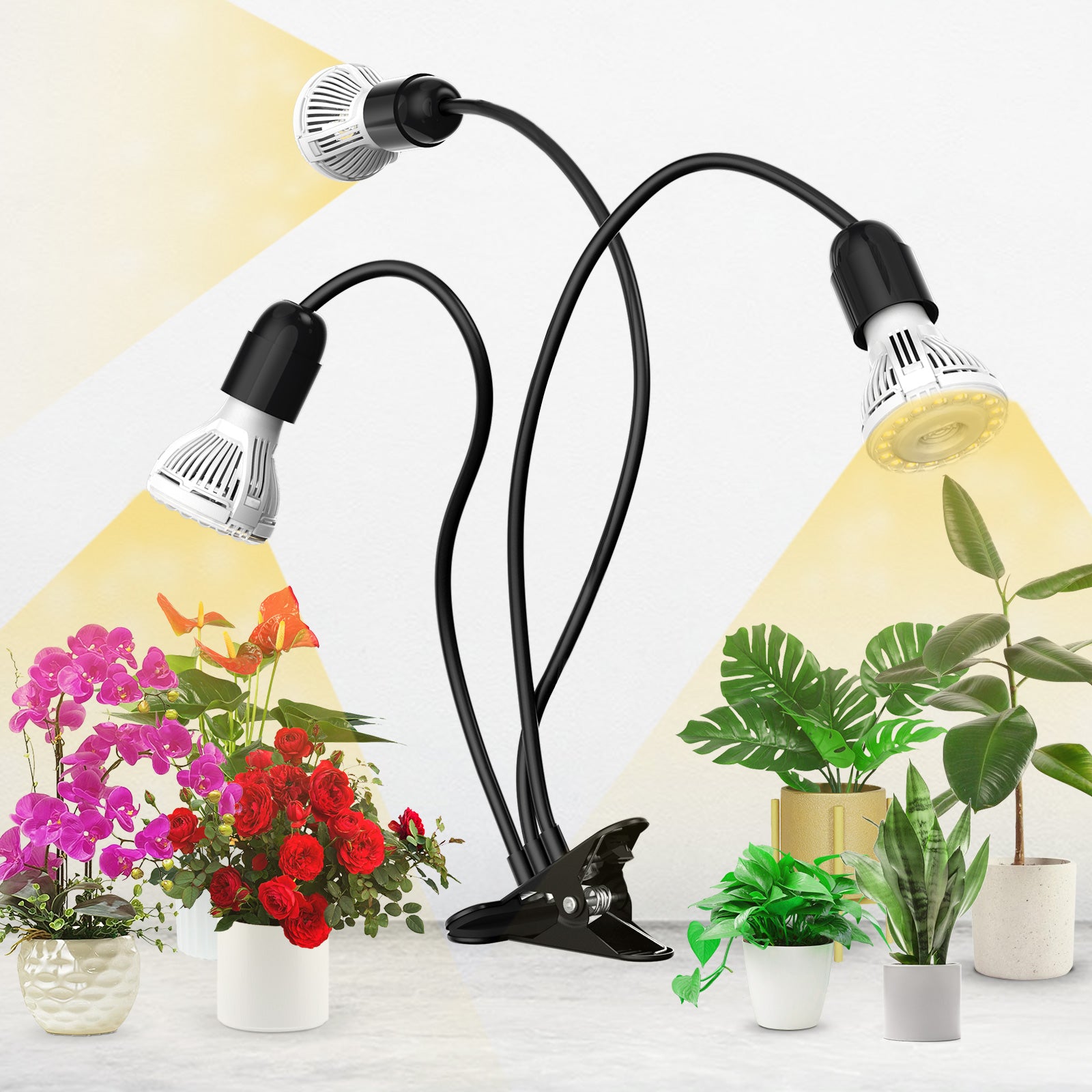 30W Adjustable 3-Head Clip-on LED Grow Light with Timer/No Timer