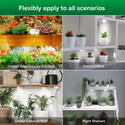 10w Full Spectrum 2-Head Grow Lights(US ONLY) is flexibly apply to all scenarios，indoor greenhouse/garden、under cabinet and plant shelves.