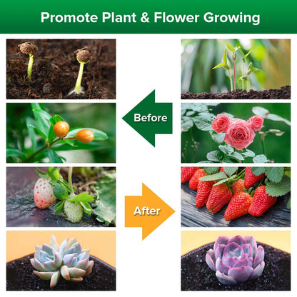 Under the light of grow lights, plants will grow faster and healthier.