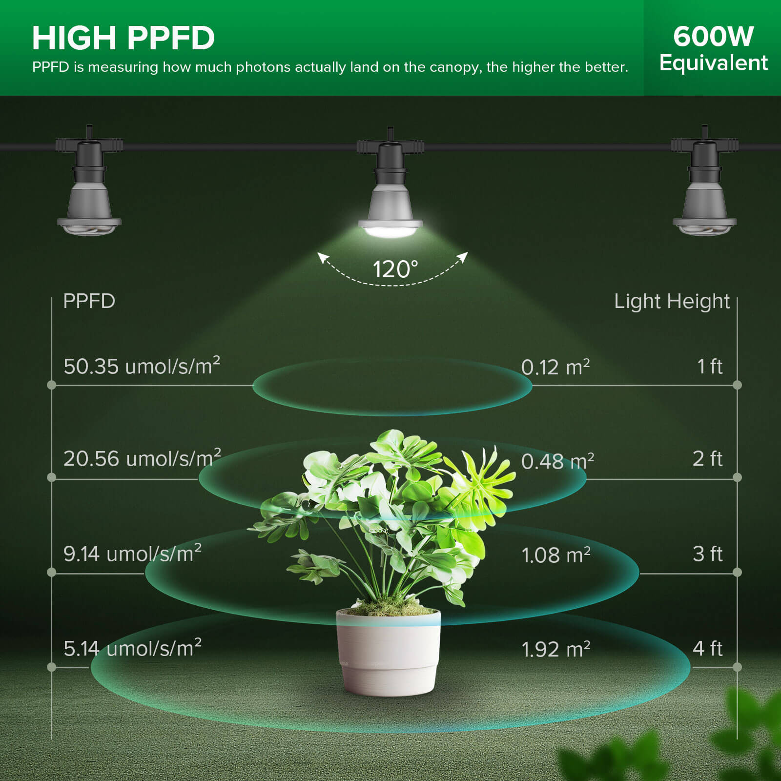 Hanging Grow Light String with high PPFD, 50.35 umol/s/m2 at 1ft.