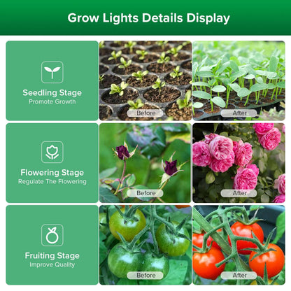 SANSI Plant Lamp LED Full Spectrum for Indoor Plants, IP54 Waterproof Plant Light Fairy Lights with 6 Pieces E27 12 W Grow Lamp Bulbs for Greenhouse, Seedling, Flowers, Vegetables (6.7 Metres)