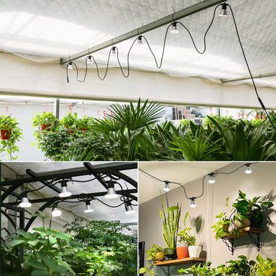 Hanging Grow Light String(US/EU ONLY)