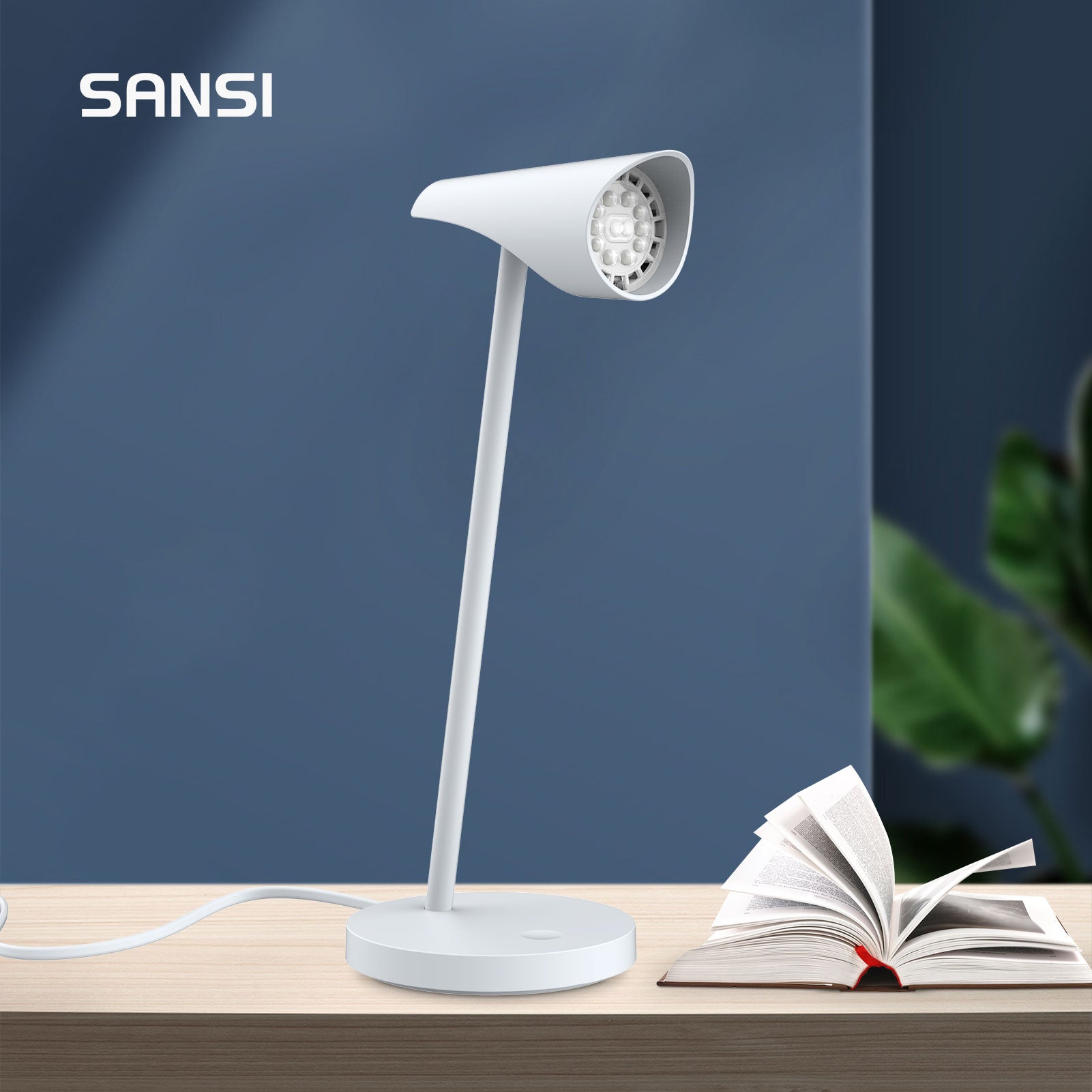 6W LED Desk Lamp (US ONLY)