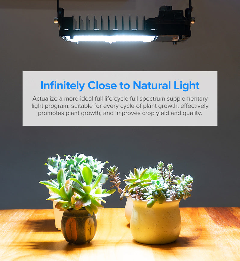 Dimmable 100W LED Grow Light (US, EU