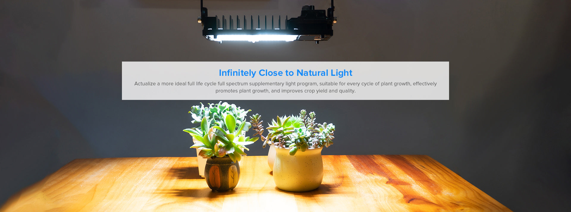 Dimmable 100W LED Grow Light，infinitely Close to Natural Light： Actualize a more ideal ful life cycle full spectrum supplementary light program, suitable for every cycle of plant growth, effectively promotes plant growth, and improves crop yield and quality.