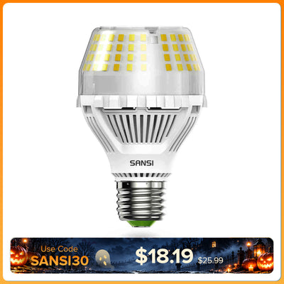 SANSI A19 20W LED-Glühbirne