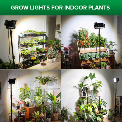 SANSI 100W Panel LED Standing Grow Light with Remote Control (US ONLY)