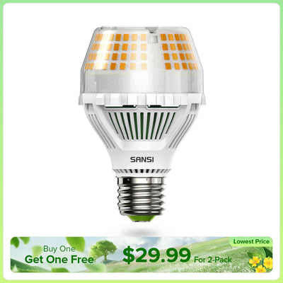 A19 25W LED Light Bulb