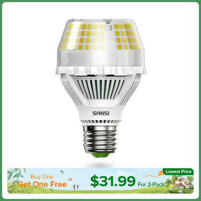 Lampadina LED A19 da 25 W