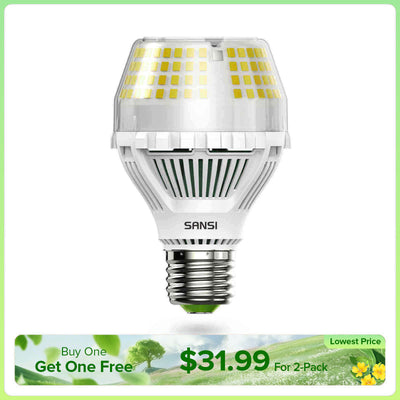 A19 25W LED Light Bulb