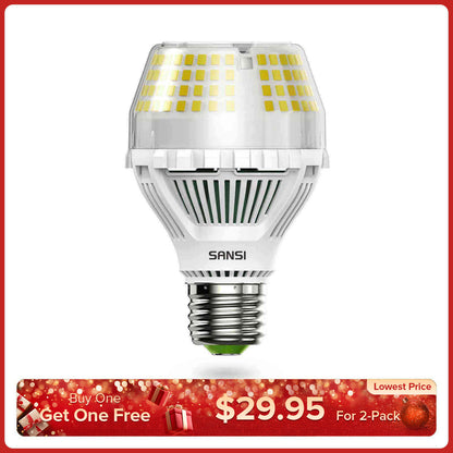 A19 25W LED-Glühbirne 3000K/5000K (NUR USA)