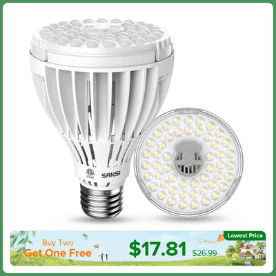 PAR25 24W LED-Pflanzenlampe