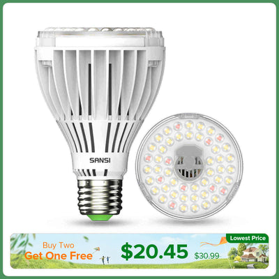 PAR25 30W LED-Pflanzenlampe