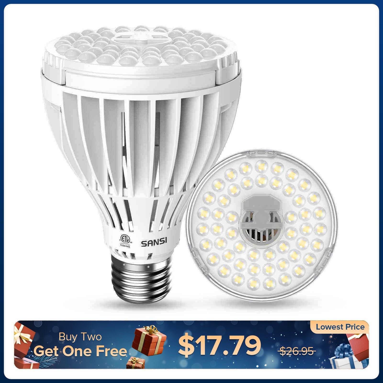PAR25 24W LED-Wachstumslampe (NUR USA)