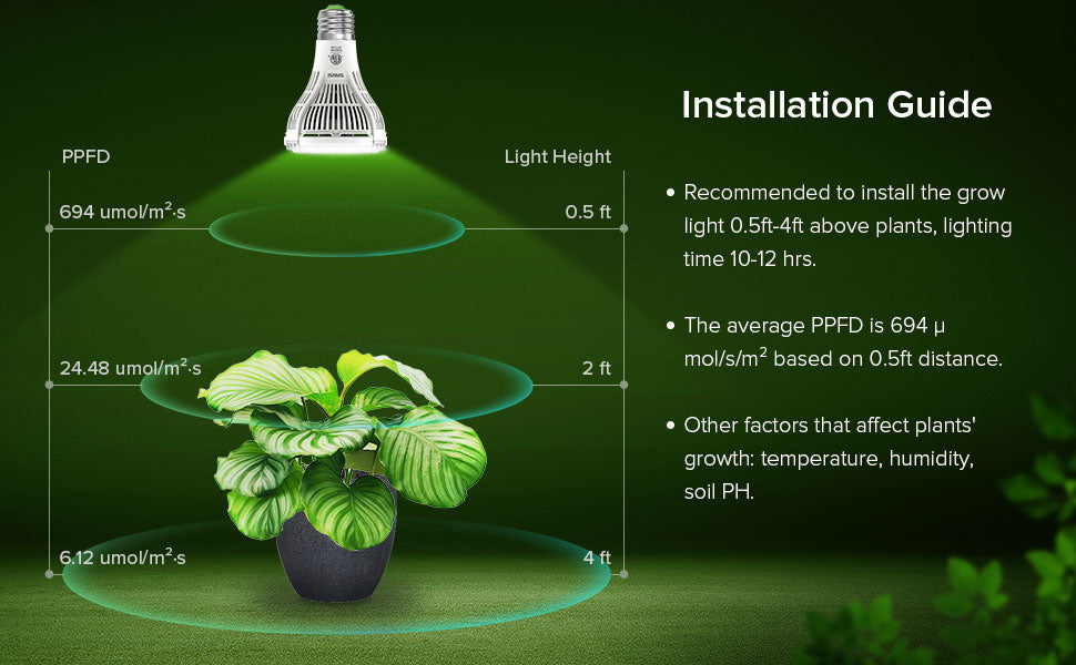 recommend to install PAR25 10W smart led grow light bulb 0.5ft-4ft above plants, lighting time 10-12hrs