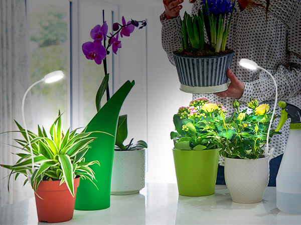 10W pot clip grow light is widely application