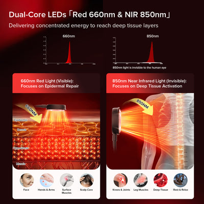 SANSI 40W Adjustable 3-Head Clip-on Red Therapy Light for Body Face