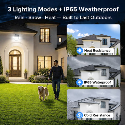 45 W LED-Sicherheitsleuchte (Dämmerung bis Morgengrauen &amp; Bewegungssensor) NUR EU/UK