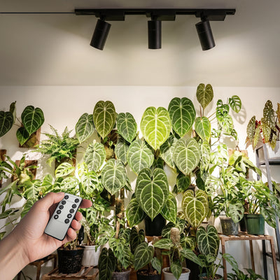 SANSI 3x30W LED Track Grow Light with Remote Control(US ONLY)
