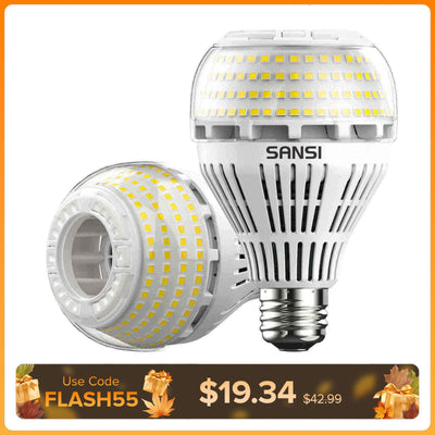 A21 22W LED 3000K/5000K Glühbirne 