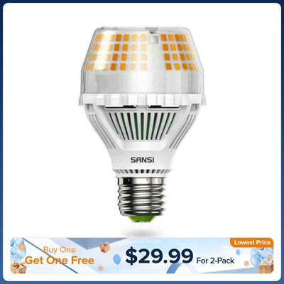Ampoule LED A19 25W