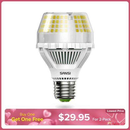 A19 25W LED Light Bulb