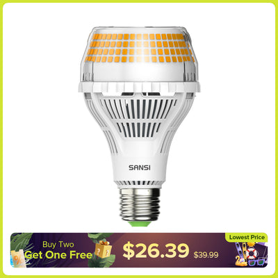 A21 40-W-LED-Glühbirne (NUR USA/KANADA) 