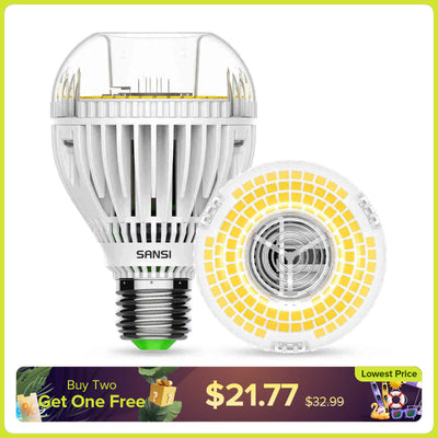 A19 30W LED 3000K/5000K Glühbirne (NUR USA/Kanada)