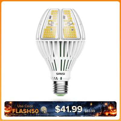 Lampadina LED A21 60W 5000K (SOLO USA/CA)