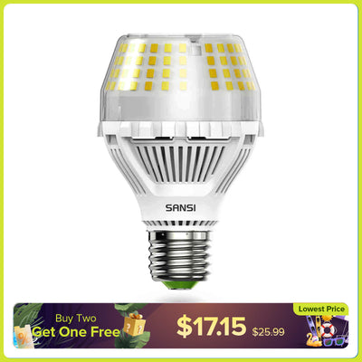 SANSI A19 20W LED-Glühbirne