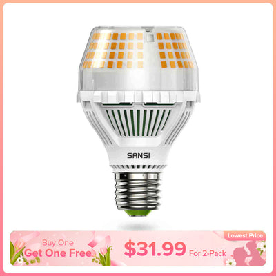 A19 25W LED Light Bulb
