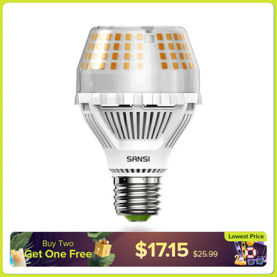 SANSI A19 20W LED-Glühbirne