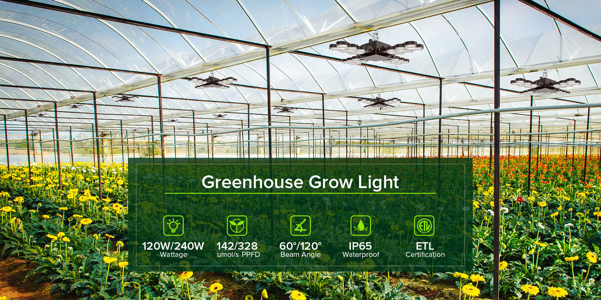 120W/220W Led Grow Light (Folding Wings), IP65, 60°/120° beam angle, ETL certification