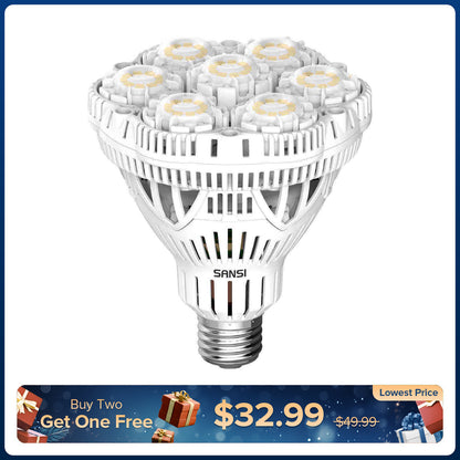 BR30 40W LED Light Bulb