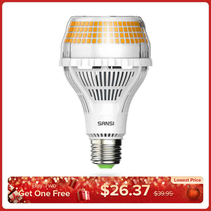 A21 40-W-LED-Glühbirne (NUR USA/KANADA) 