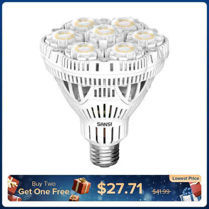 BR30 40W LED Light Bulb