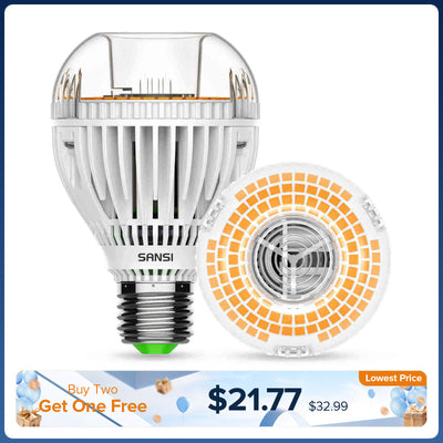 Ampoule LED A19 30W 3000K/5000K (US/CA UNIQUEMENT)