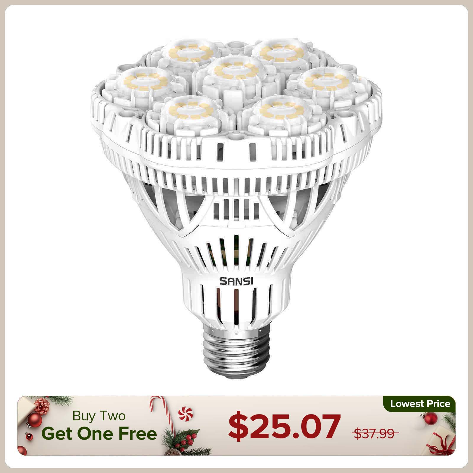 BR30 40W LED Light Bulb