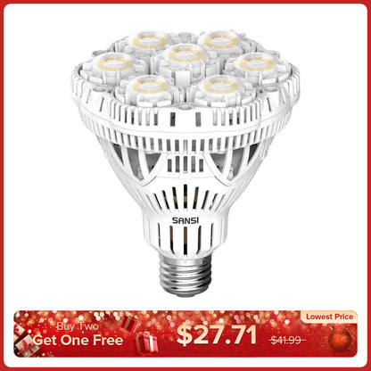 BR30 40W LED-Glühbirne 